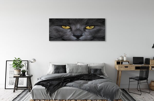 Tablouri canvas Pisica neagra