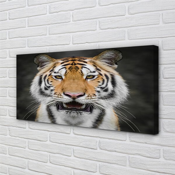 Tablouri canvas Tigru