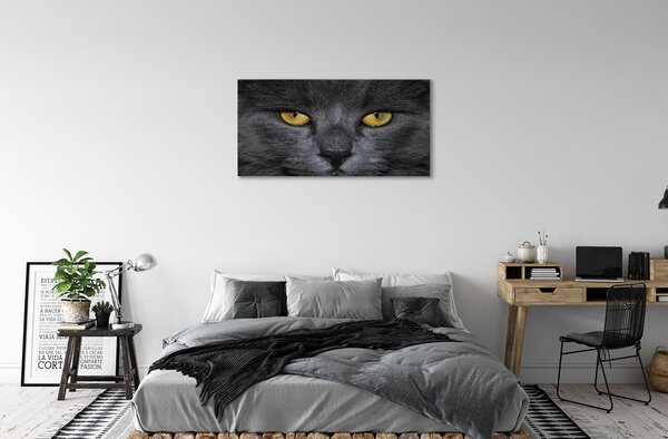 Tablouri canvas Pisica neagra