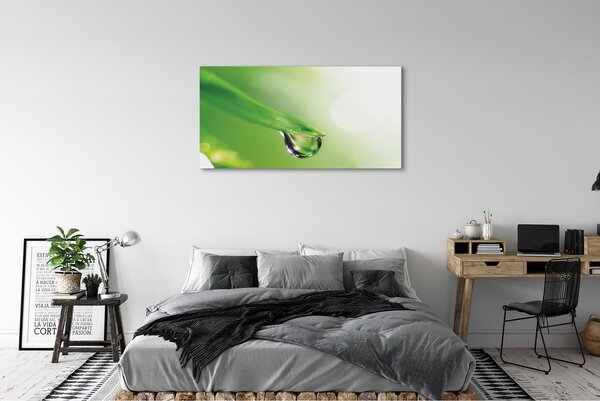 Tablouri canvas Picătură frunze de soare