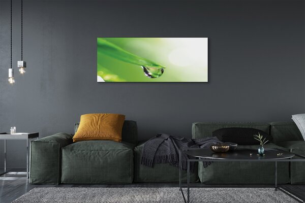 Tablouri canvas Picătură frunze de soare
