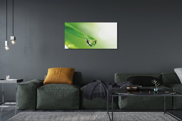 Tablouri canvas Picătură frunze de soare