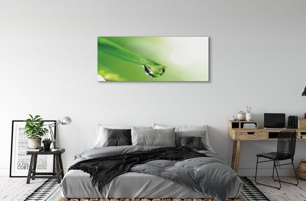 Tablouri canvas Picătură frunze de soare