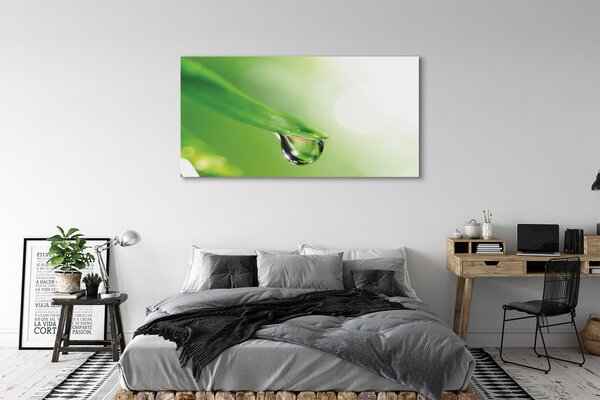 Tablouri canvas Picătură frunze de soare
