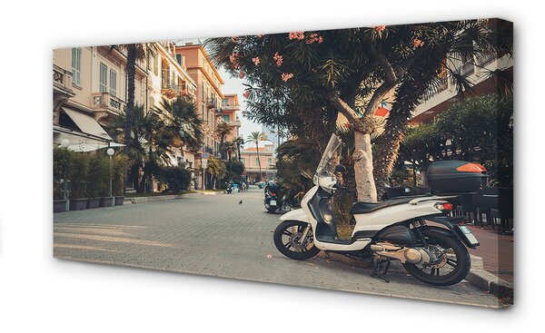 Tablouri canvas Motociclete urbane de palmier de vară