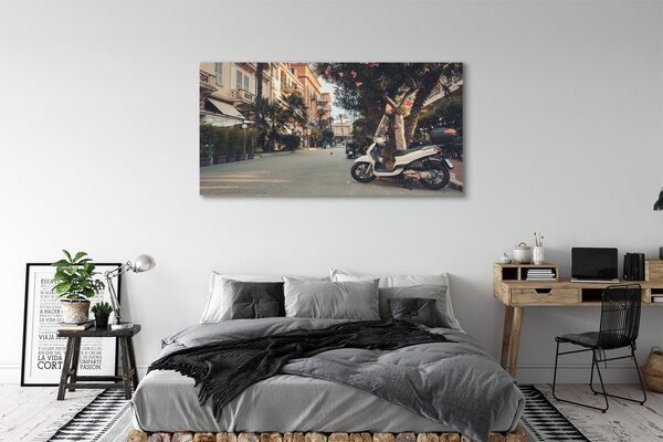 Tablouri canvas Motociclete urbane de palmier de vară