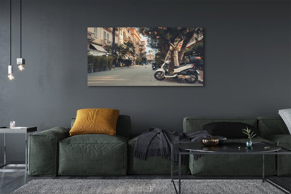 Tablouri canvas Motociclete urbane de palmier de vară