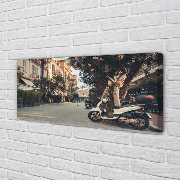 Tablouri canvas Motociclete urbane de palmier de vară