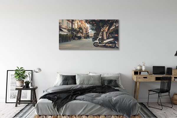 Tablouri canvas Motociclete urbane de palmier de vară