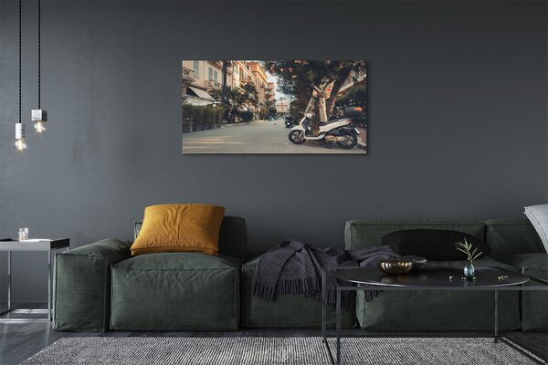 Tablouri canvas Motociclete urbane de palmier de vară