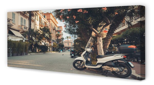 Tablouri canvas Motociclete urbane de palmier de vară