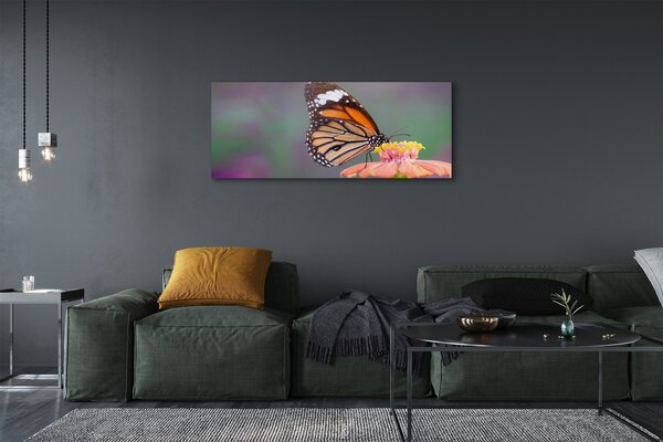 Tablouri canvas floare fluture colorat