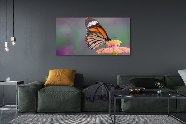 Tablouri canvas floare fluture colorat