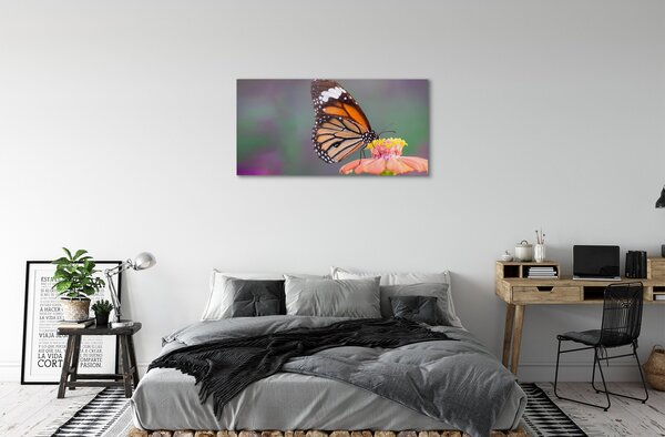 Tablouri canvas floare fluture colorat
