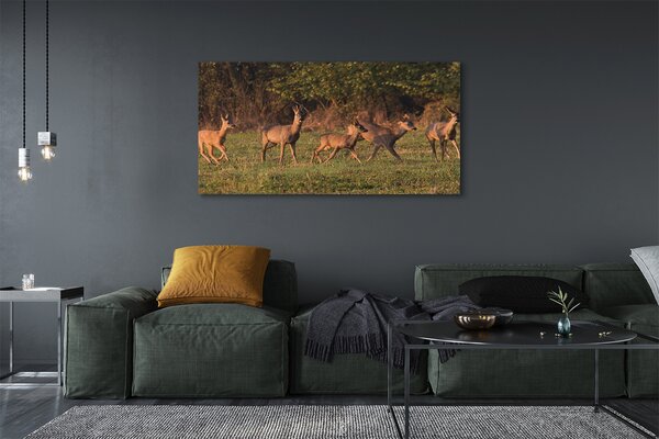 Tablouri canvas Deer Golf răsărit de soare