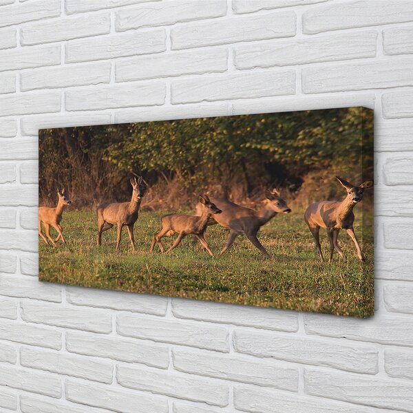 Tablouri canvas Deer Golf răsărit de soare