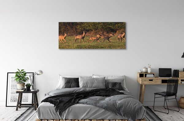 Tablouri canvas Deer Golf răsărit de soare