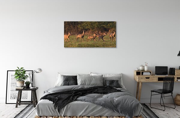 Tablouri canvas Deer Golf răsărit de soare