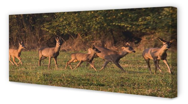 Tablouri canvas Deer Golf răsărit de soare
