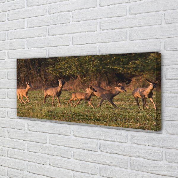 Tablouri canvas Deer Golf răsărit de soare