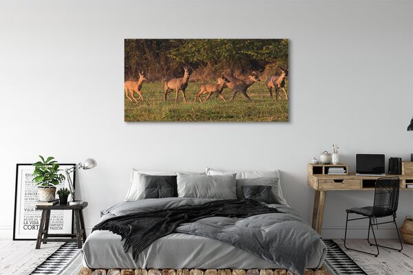 Tablouri canvas Deer Golf răsărit de soare