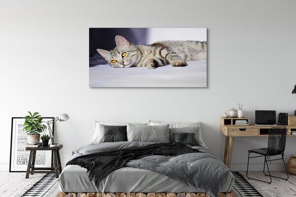 Tablouri canvas situată pisica