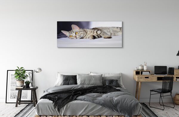 Tablouri canvas situată pisica