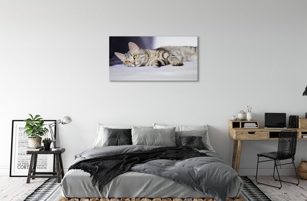 Tablouri canvas situată pisica