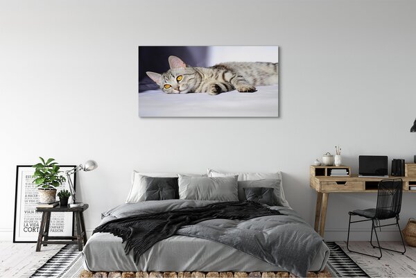 Tablouri canvas situată pisica