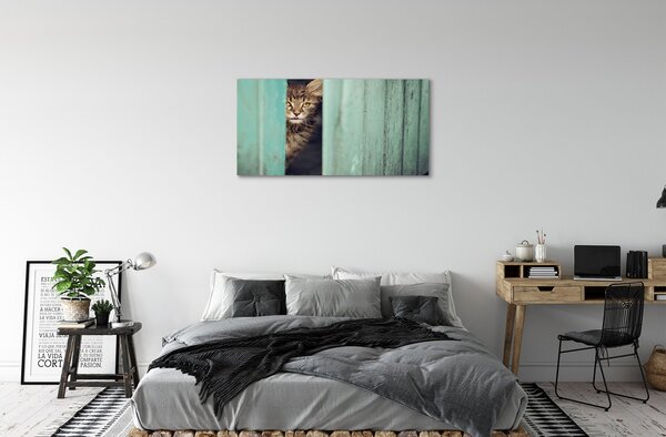 Tablouri canvas Zaglądający pisică