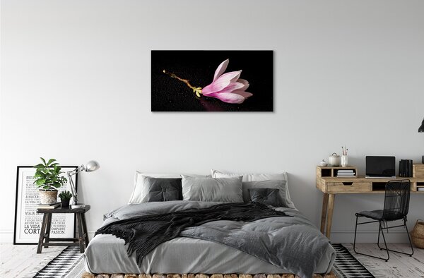 Tablouri canvas apa de flori