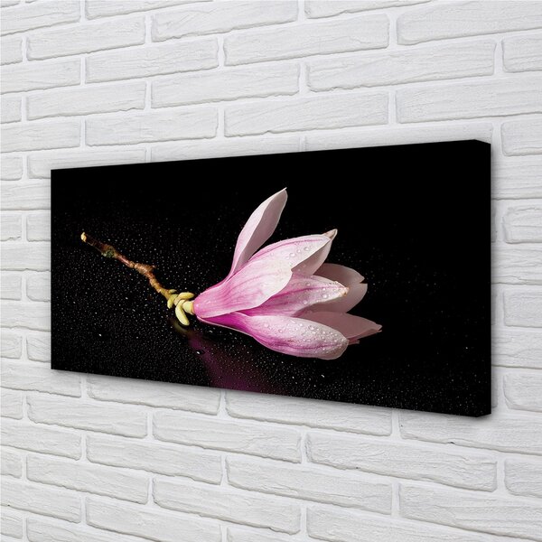 Tablouri canvas apa de flori
