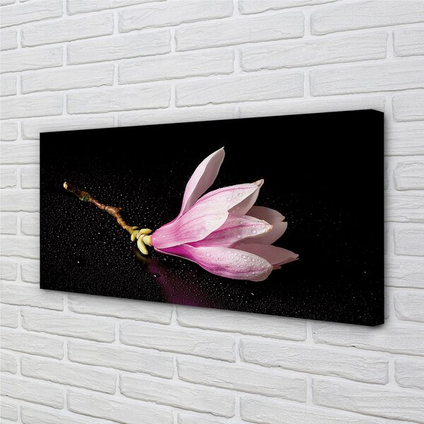 Tablouri canvas apa de flori
