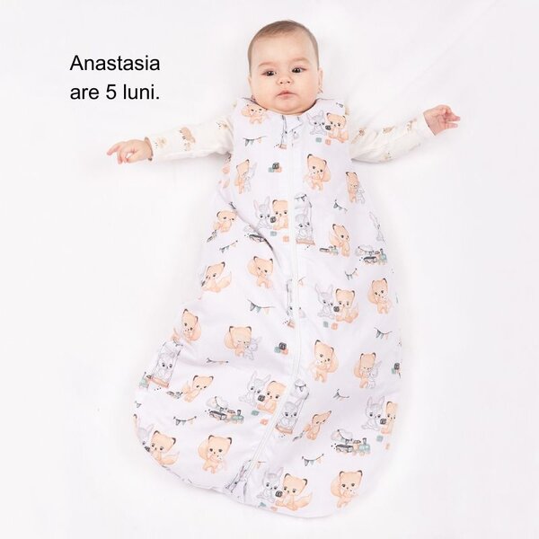 Sac de dormit copii 0-9 luni Kidizi Koala Dreams, 1 tog