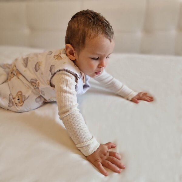 Sac de dormit copii 3-18 luni Kidizi Koala Dreams, 1 tog