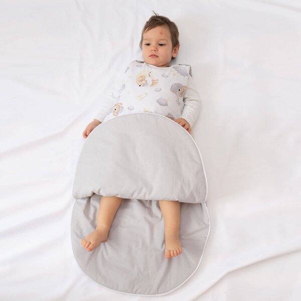 Sac de dormit copii 3-18 luni Kidizi Koala Dreams, 1 tog