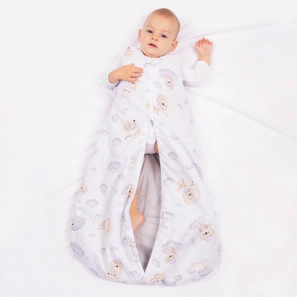 Sac de dormit copii 6-24 luni Kidizi Koala Dreams, 1 tog