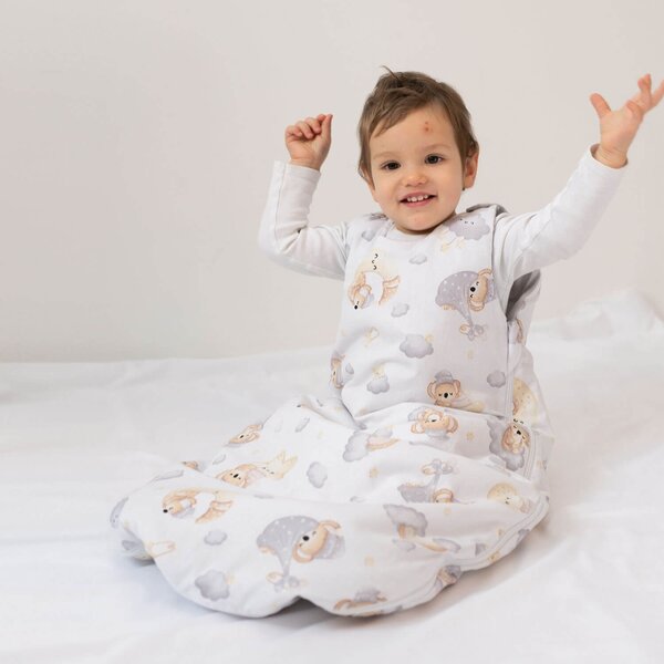 Sac de dormit copii 3-18 luni Kidizi Koala Dreams, 1 tog