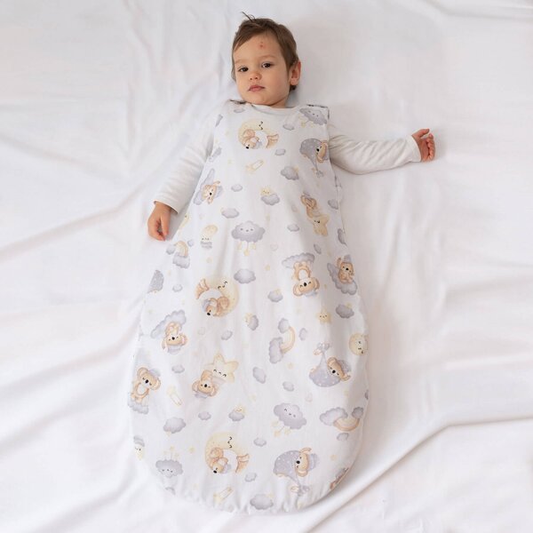 Sac de dormit copii 3-18 luni Kidizi Koala Dreams, 1 tog