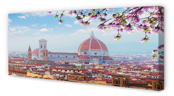Tablouri canvas Italia Catedrală noapte panorama