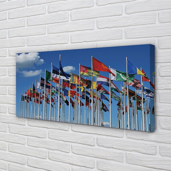 Tablouri canvas diverse steaguri