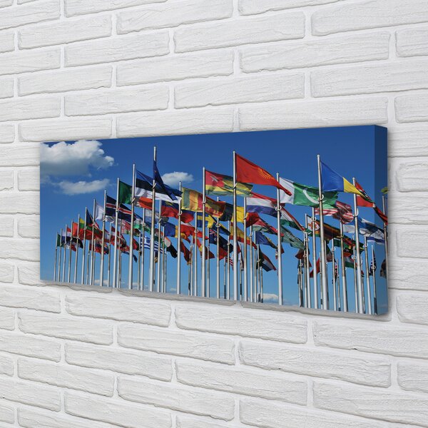 Tablouri canvas diverse steaguri