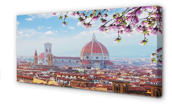 Tablouri canvas Italia Catedrală noapte panorama