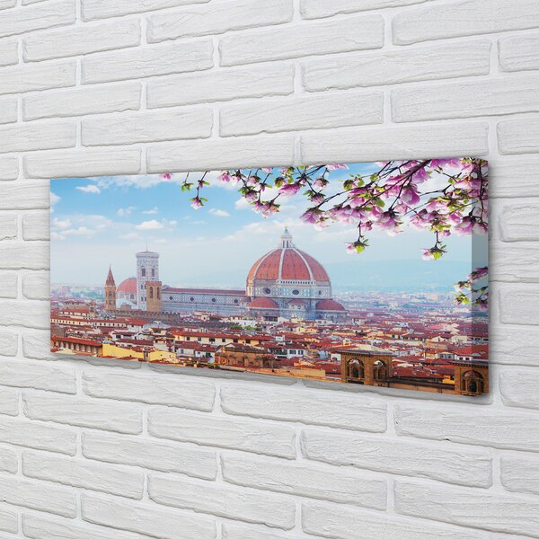 Tablouri canvas Italia Catedrală noapte panorama
