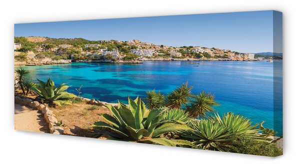 Tablouri canvas mare oras Spania Coast