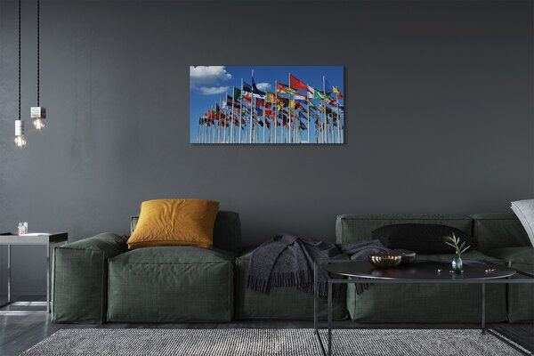 Tablouri canvas diverse steaguri