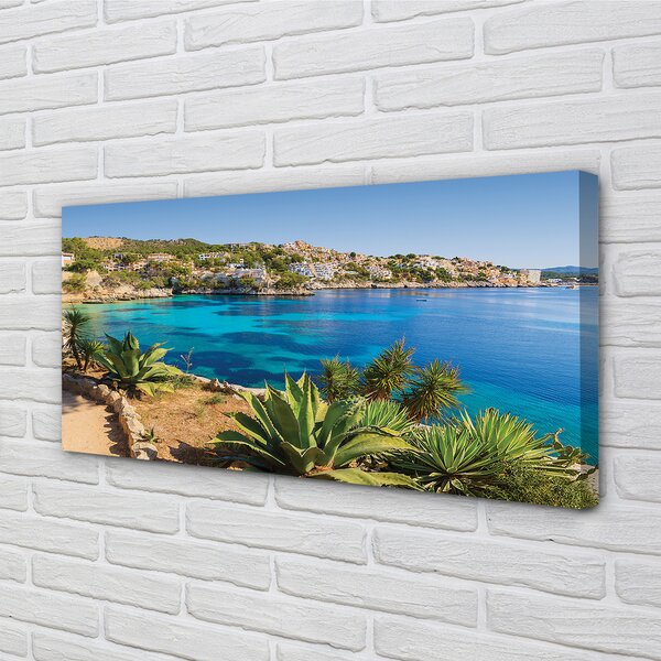 Tablouri canvas mare oras Spania Coast