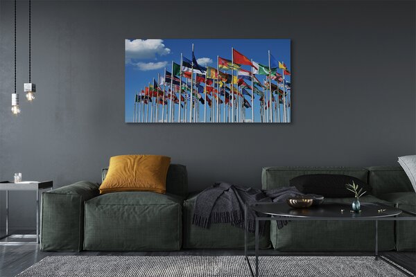 Tablouri canvas diverse steaguri