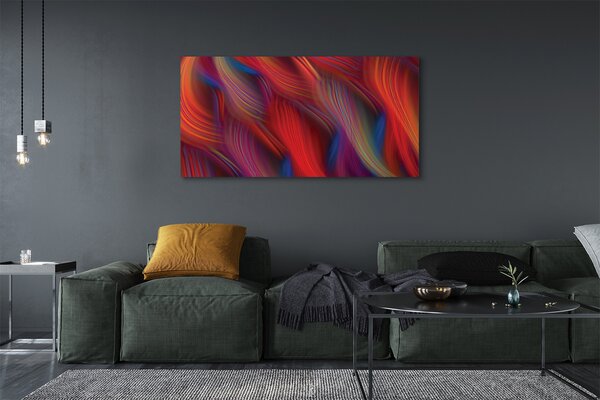 Tablouri canvas dungi colorate fractali