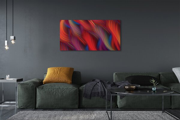 Tablouri canvas dungi colorate fractali